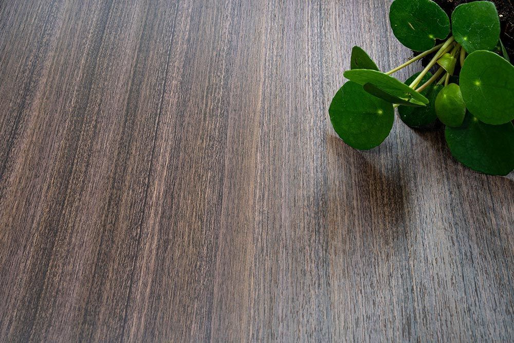 Classic Walnut - D1